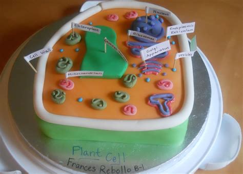 We did not find results for: Pin Make A Plant Cell Cake Cake on Pinterest | Plant cell ...
