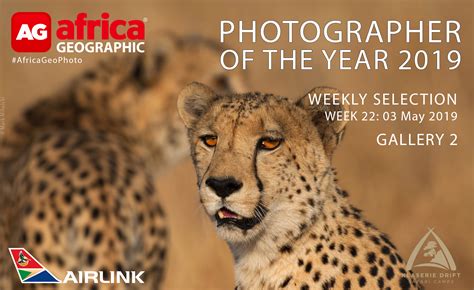Photographer Of The Year 2019 Weekly Selection Week 22 Gallery 2