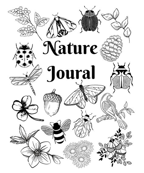 Complete Nature Journal Digital Printable How To Keep A Nature Journal