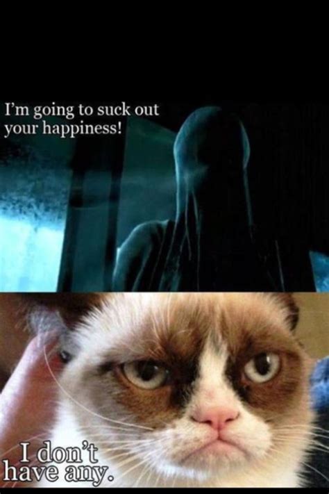 Harry Potter Dementors Grumpy Cat Funny Grumpy Cat Memes Grumpy Cat