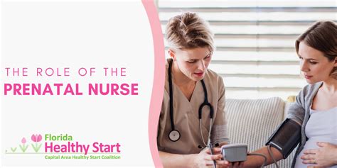 The Role Of The Prenatal Nurse Capital Area Healthy Start