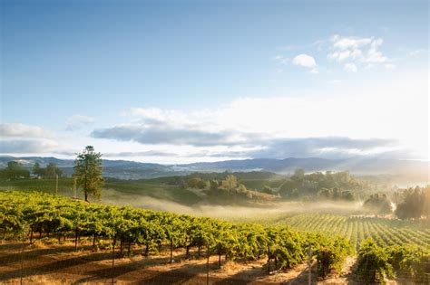 Best Sonoma Wineries The Complete Wine Tasting Guide