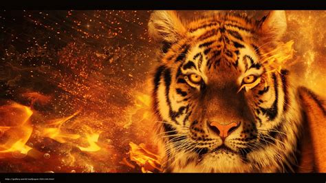 Tlcharger Fond Decran Tigre 3d Art Fonds Decran Gratuits Pour Votre