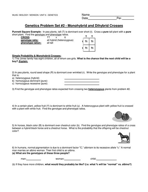 Complete cross and determine possible offspring. Genetics Problem Set 2 Monohybrid And Dihybrid Crosses ...