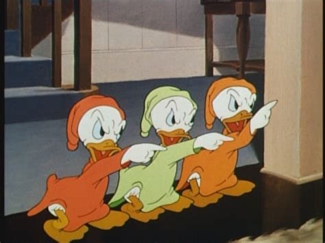 Donalds Crime Donald Duck Image 19853099 Fanpop