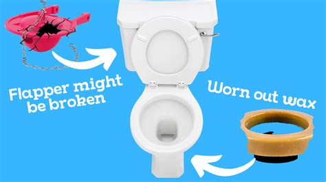 How To Fix A Leaky Toilet Fix Yours Fast And For Free