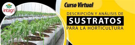 Curso Virtual Descripción Y Análisis De Sustratos Para La Horticultura