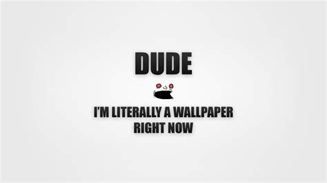 Funny Quote Wallpapers Wallpaper Cave