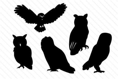 Owl Silhouette Svg Cut Files