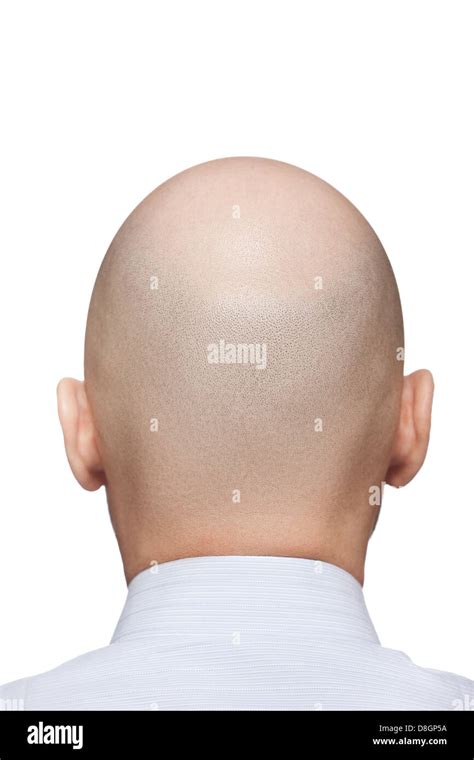 Bald Man Head Stock Photo Alamy