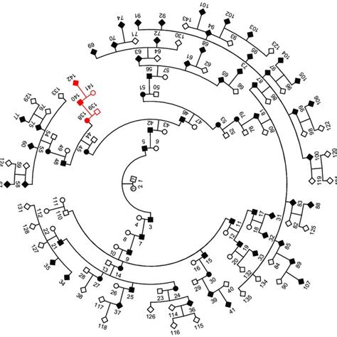 Familial And Sporadic Als Sod1 Mutation Carrier Samples Download