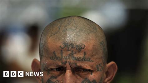 Ms 13 Gang The Story Behind One Of The Worlds Most Brutal Street