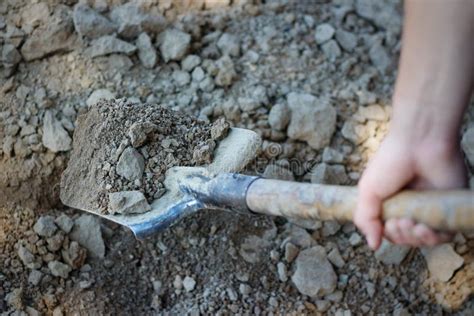 Male Hand Digging With A Shovel The Earth In The Shovel Closeup Stock