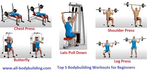 Top 5 Bodybuilding Workouts For Beginners All