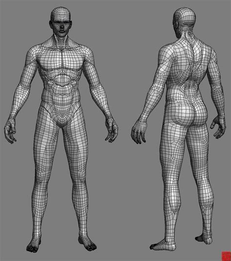 Pin By Adidash On Anatami Character Modeling 3d Character Anatomy