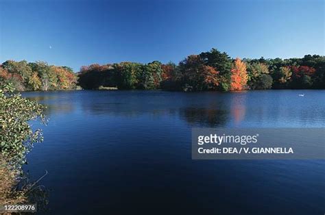 Myles Standish State Park Photos And Premium High Res Pictures Getty