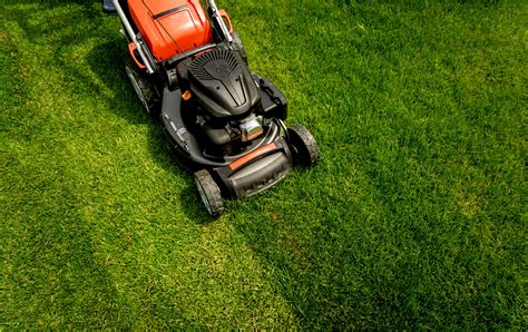 Lawn Mowing Guide From Professional Landscapers Mountview
