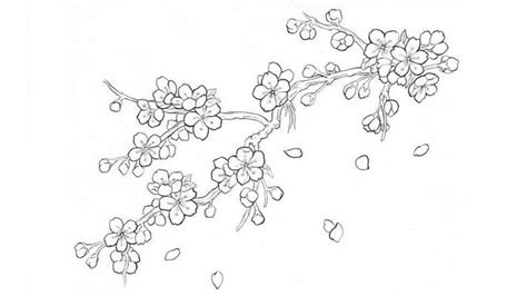 20 Gambar Sketsa Bunga Cantik Mudah Untuk Ditiru Cobain Yuk
