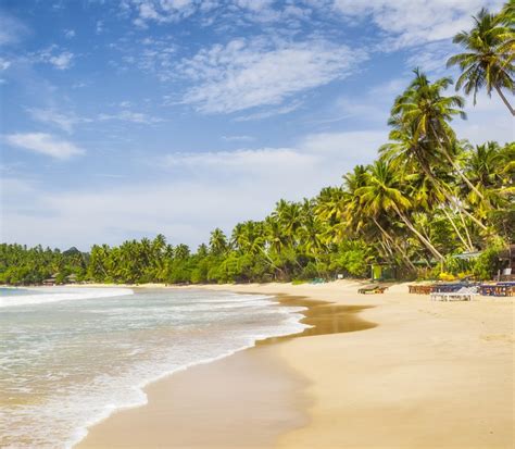 Mirissa Beach South West Sri Lanka Ultimate Guide November 2023