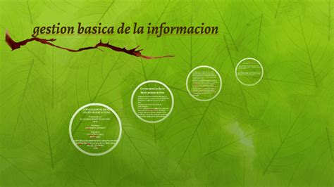 Gestion Basica De La Informacion By Ely Johana Zapata Suarez On Prezi Next