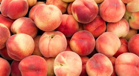 The Five Best Places To Find Peaches In Georgia Updated 2019 Rick