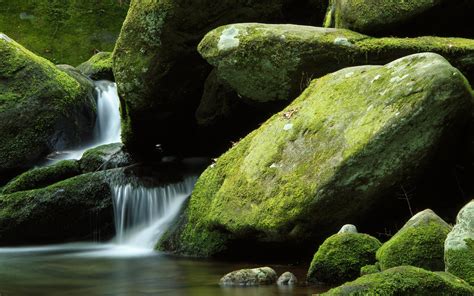 The Flow Of Water Among The Moss Covered Stones Wallpapers And Images