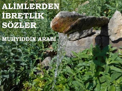 Buradasınız:home » sözler » özlü sözler » muhiddin i̇bni arabi sözleri. MUHYİDDİN ARABİ SÖZLERİ | sozharmani.com