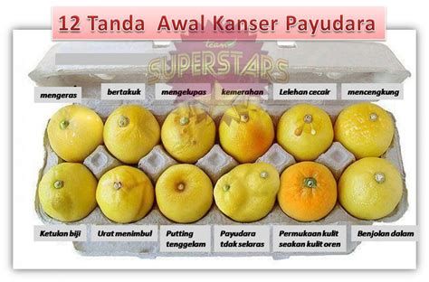 Catat semua hal yang menarik kamu sebelum kamu kehilangannya. Ubat, Penawar & Rawatan Alternatif Kanser Payudara Dengan ...