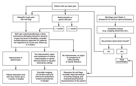 Flowchart Shows Clinical Practice Guideline For Management Of Low Back