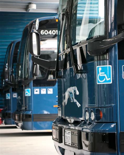 How To Stay Safe On The Greyhound Bus Wanderwisdom