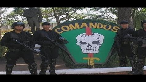 Comandos Tributotribute Brasilbrazil Youtube