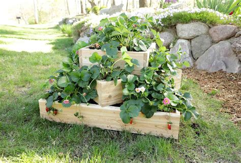 Make A Sleek Tiered Strawberry Planter Better Homes And Gardens
