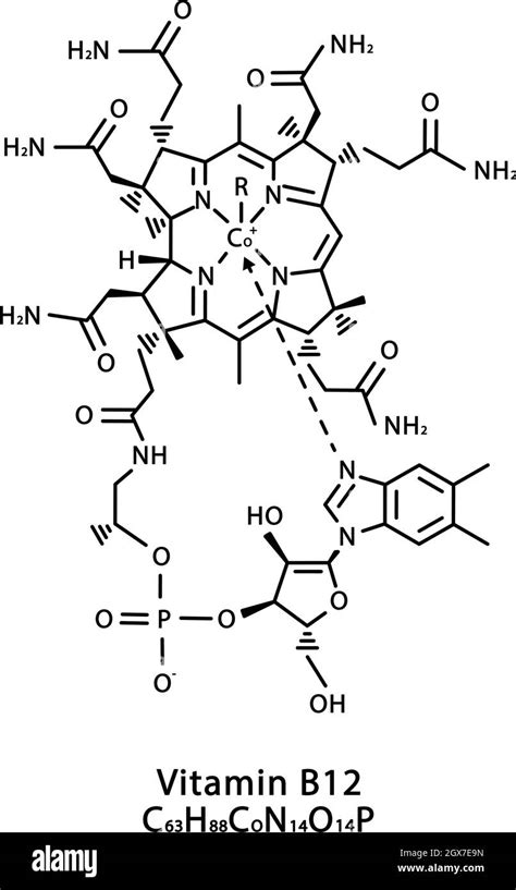 Vitamina B12 Estructura Molecular De Cianocobalamina Vitamina B12
