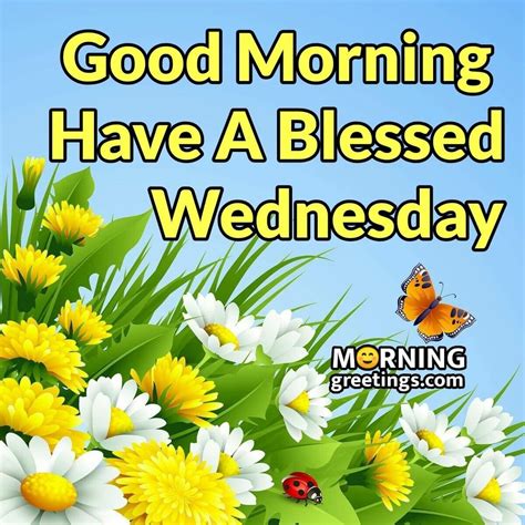 Happy Wednesday Images Wednesday Greetings Good Morning Wednesday