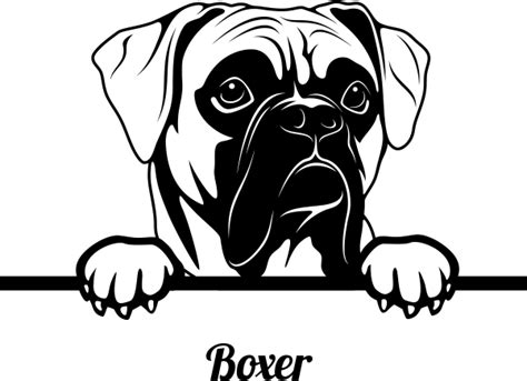 Boxer 2 Peeking Dog Decal