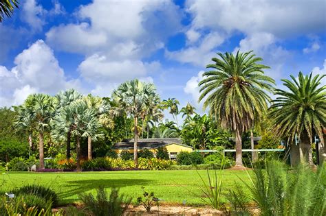 Fairchild Tropical Botanic Garden Discover Rare Tropical Plants Go