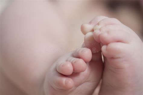 Baby Foots Stock Photo Image Of Little Thumb Skin 14337642