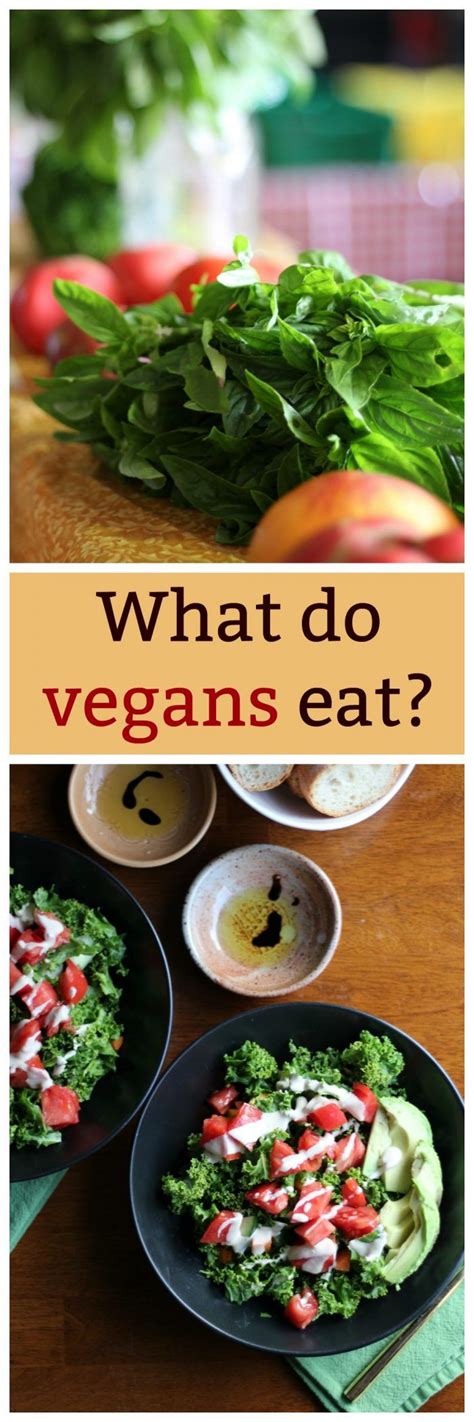 What Do Vegans Eat On A Long Busy Day Vegan Recipes Easy Vegan