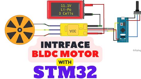 How To Interface Bldc Motor With Stm32 Youtube