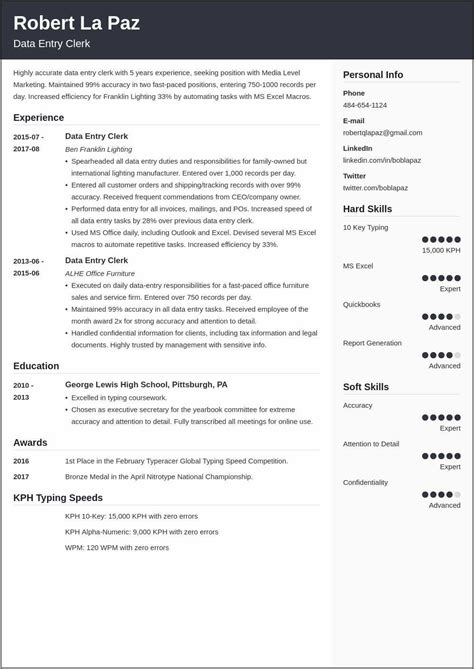 Resume Summary Examples For Data Entry Resume Example Gallery