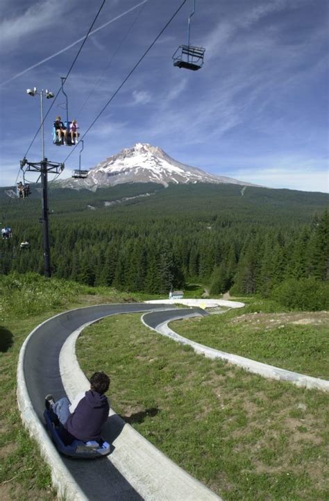 This Summer Take An Unforgettable Ride On The Alpine Slide At Mt Hood