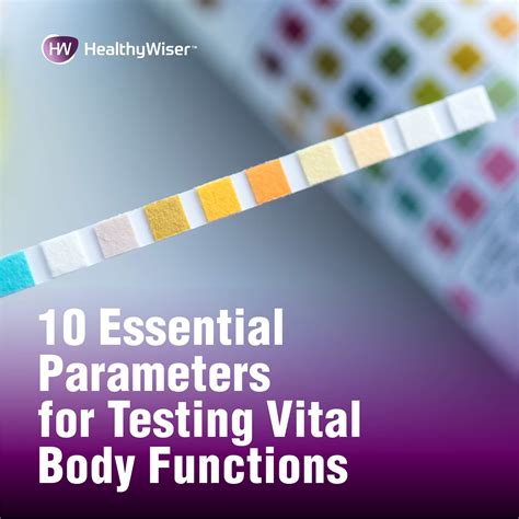 10 Parameter Urinalysis Test Strips 100 Strips Healthywiser
