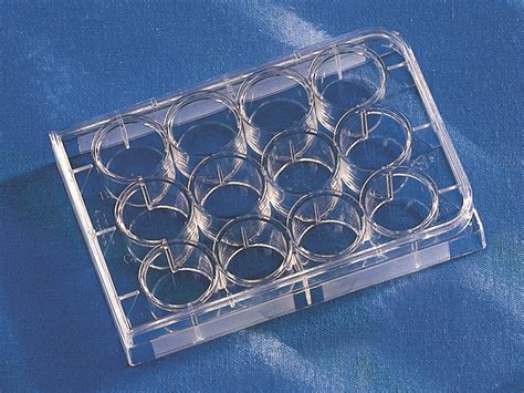 Costar® 12 Well Clear Tc Treated Multiple Well Plates Individually