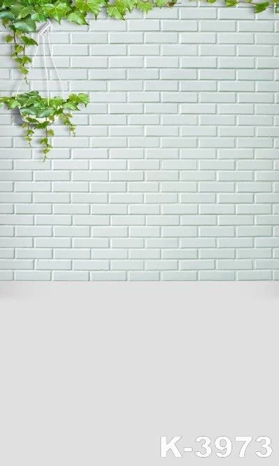 Whether you want to disguise a messy room, transport you to another location, or make your colleagues laugh — we've got plenty of backgrounds to express your creativity. Creeping Plant White Brick Plain Wall Backdrops Custom ...
