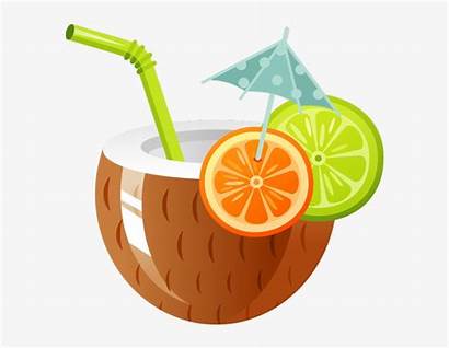 Coconut Drink Tropical Clipart Clip Cocktail Drinks