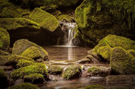 Download 1125x2436 Waterfall Moss Stream Rocks Wallpapers For Iphone