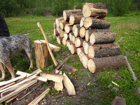 Wood Stack Camp Pile Stacked Fire Wood Camping 20 Inch By 30 Inch