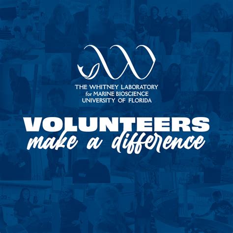 Articles Volunteers Make A Difference Whitney Laboratory For