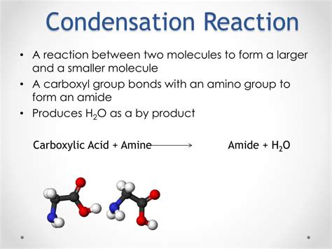 PPT - Amine Reactions PowerPoint Presentation - ID:2118635