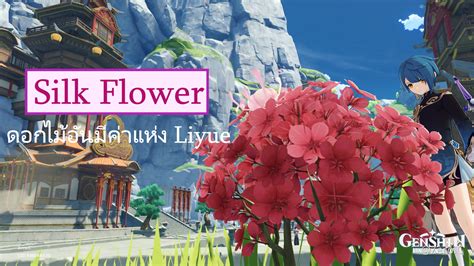 เที่ยว Teyvat กับนายน้อย ตอน Silk Flower ดอกไม้อันมีค่าแห่ง Liyue